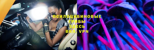 прущие грибы Белоозёрский