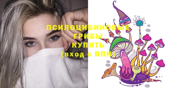 mix Белокуриха