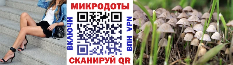 MEGA вход  Окуловка  Псилоцибиновые грибы Cubensis 